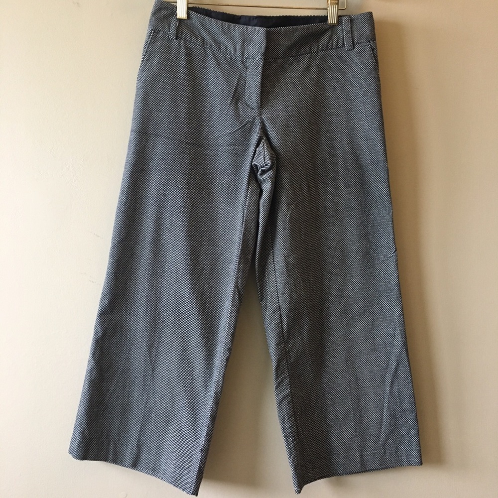 Nwt Anthro pindot velvet wide leg cropped trousers